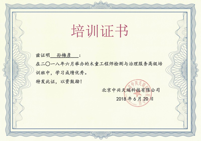孫梅彥-木童工程師檢測(cè)與治理服務(wù)高級(jí)培訓(xùn)證書.jpg